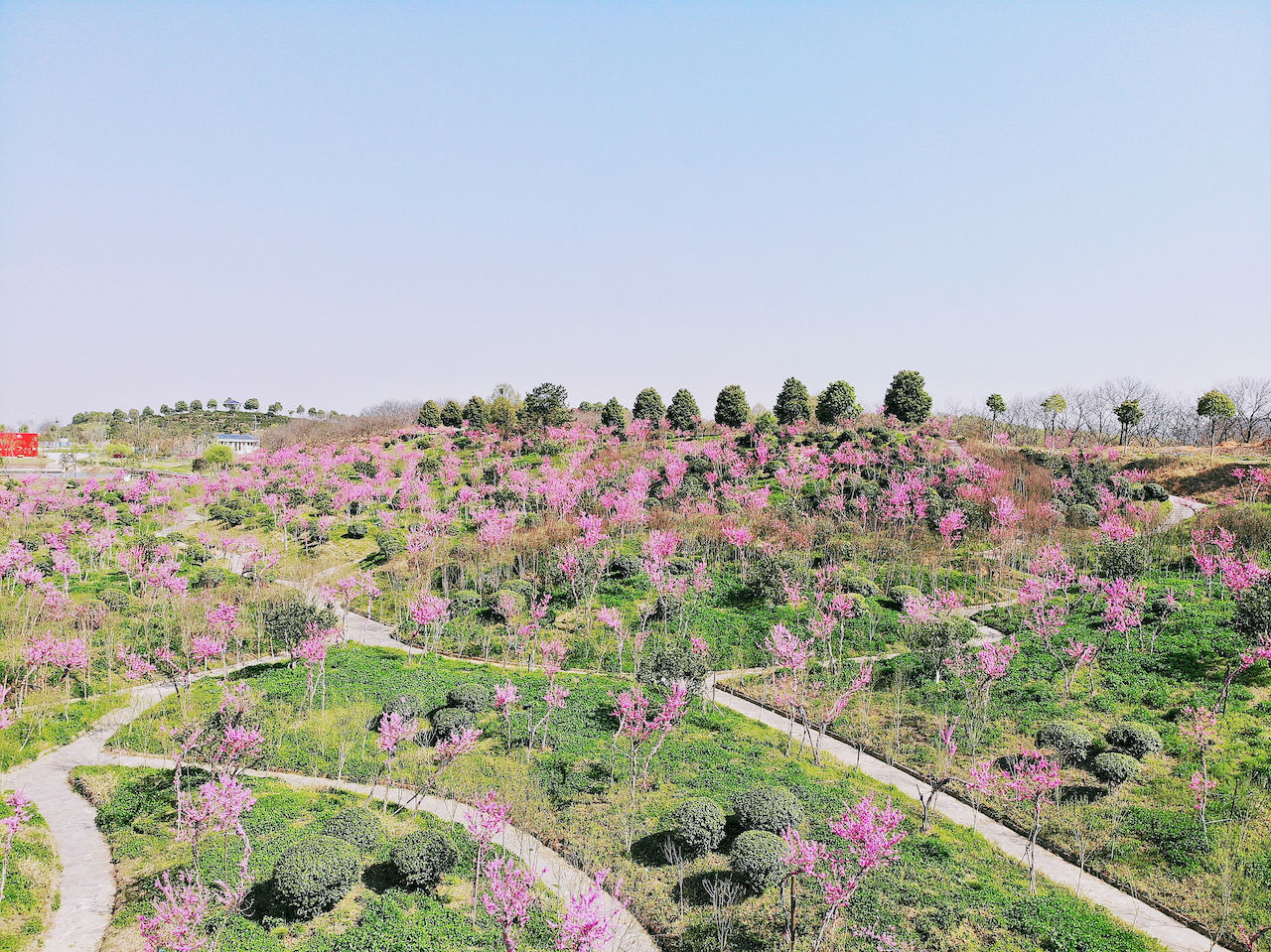 武汉周边游3??丨黄陂赏花和登山徒步，推荐这四个景区必须打卡