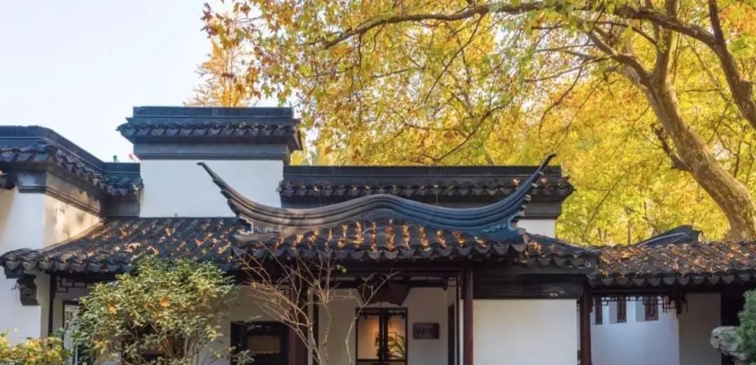  「庭院」合院别墅是什么？现代中国人的庭院生活