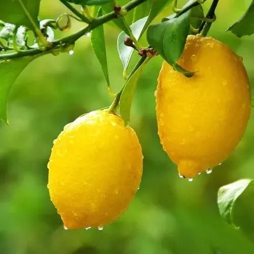 家底厚底气足!成都这座小城比敦煌还要辉煌，却低调得令人心疼!