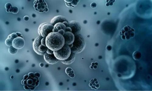 员工曝光称美年用早已死亡医生 美年声明遇黑公关