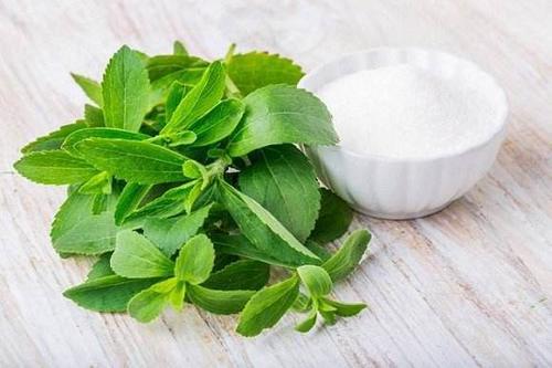 农村野外有一种比蔗糖还要甜上几百倍的植物，摘一片叶子能泡茶