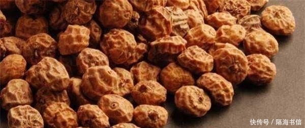  地下：它被称为“地下核桃”，又能产油又能喂猪，为啥中国农民