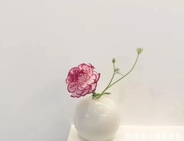 「cm」155小个子这么选春装,大家都以为我长高了10cm!