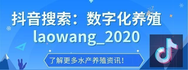 # 水产#已被证实是谣言，辟谣！央视播出草鱼等水产养殖动物不能吃？假的