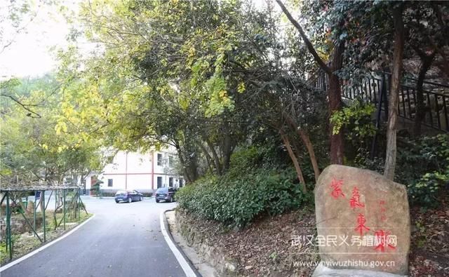 远离城市喧嚣！这个男人在黄陂建了座花海庄园，堪比“世外桃源”