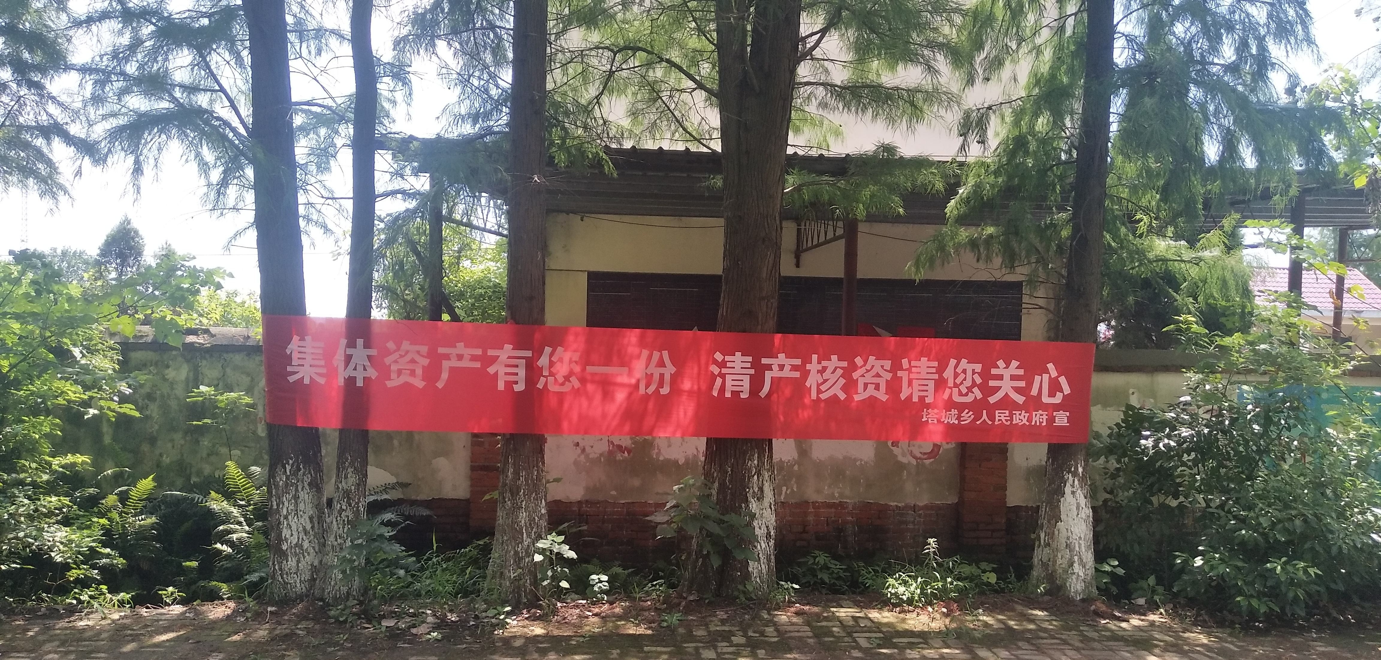 2019年农村将开展“五清”运动，清查五大问题！