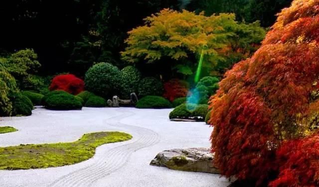 诗意心境,禅意鱼池,你所不知道的佛系庭院