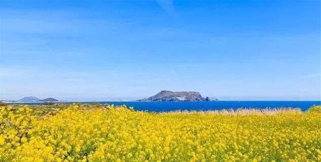 2019年最新免签名单｜中国国籍可免签去125个国家了