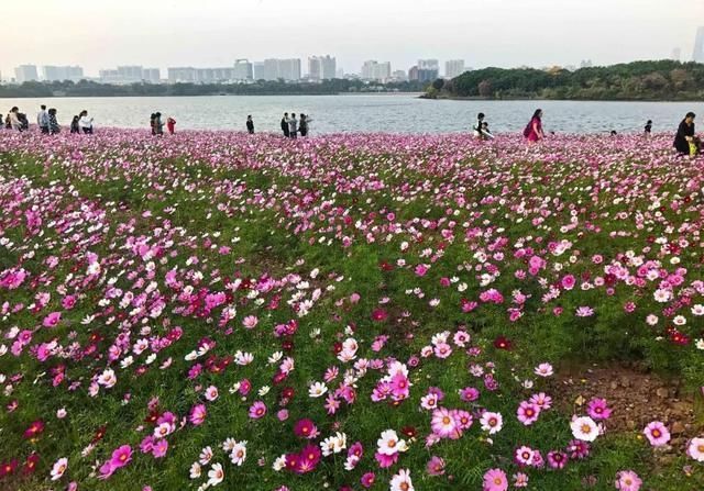全国第三！春节旅游热门城市排行，广州为何能超越北京上海西安？