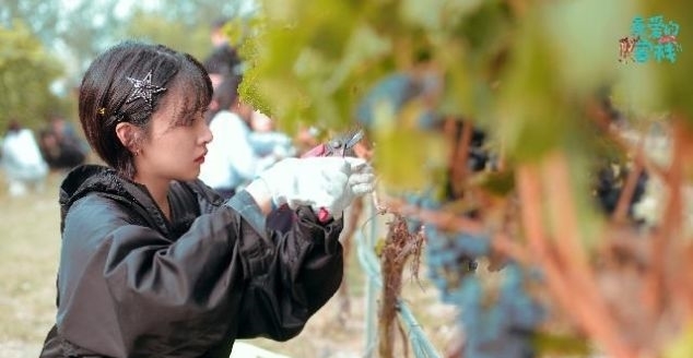  助攻：阚清子《亲爱的客栈》面临选择难题 变身最强助攻传递职场正能量