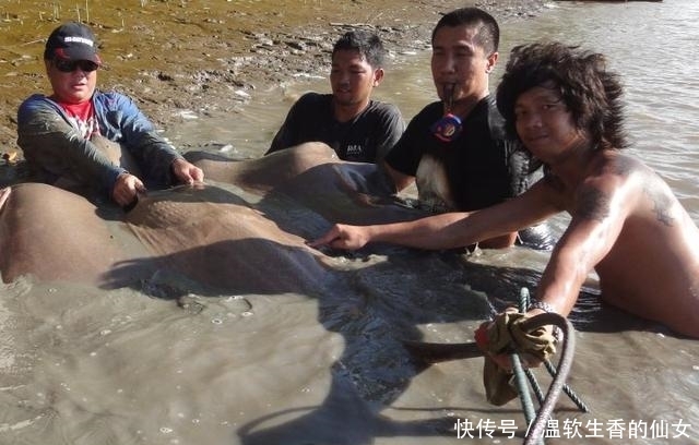 强烈要求李大毛老师停止游钓中国, 远征湄公河降服真正的巨物