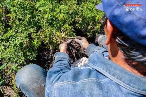 甘肃的这座小城，景色媲美九寨沟，却隐匿了上千年！