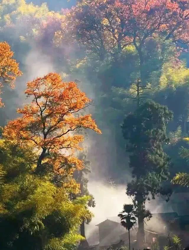 浙江不只有江南烟雨,这10个地方藏着浙江的绝美秋景
