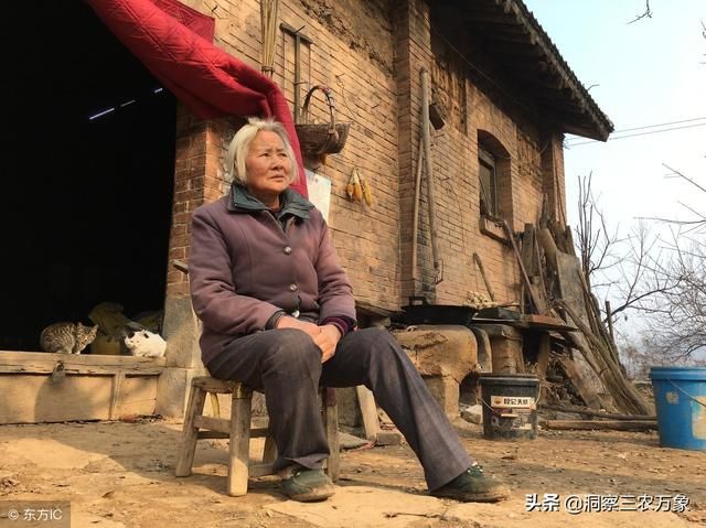 农村老人没有钱真能够养老吗？农村老人养老主要靠谁？有啥政策？