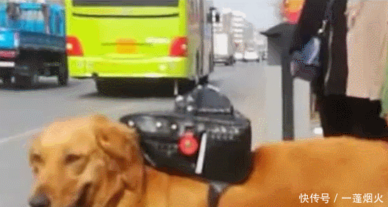 大哥你怎么穿裙子出来了,是你老婆的吗,你那高跟鞋穿着还舒服吧