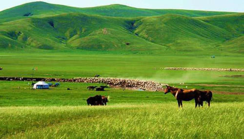 中国陆地面积最大的地级市：相当于3.5个韩国