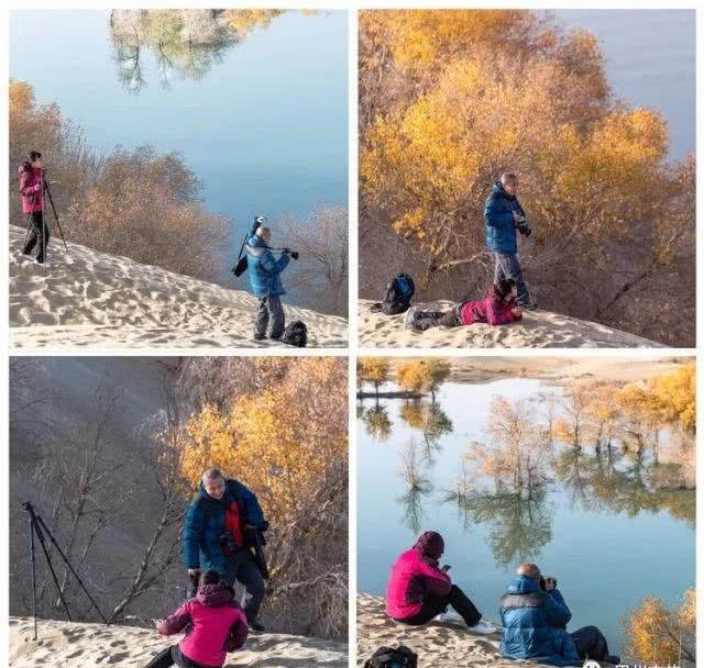 大美新疆，上眼胡杨