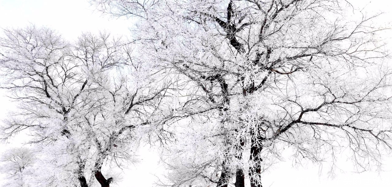 中国唯一省市同名的城市，面积省内最大，知道是哪吗？