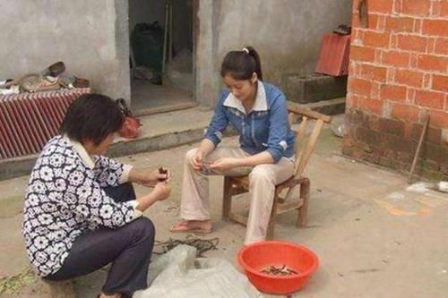  不少：返乡农村做这4个小活计，不会很累还能赚不少的钱，看你做