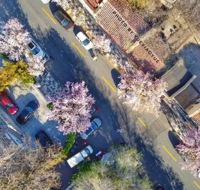  「重启」不能重启的2020，接下来的日子在天津要这样过！