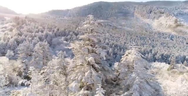 古诗配雪景，最美冬天就在黑竹沟！