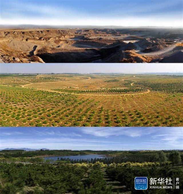 从“沙遍地”到“绿满园” 看潮白河畔沙坑“变形记”