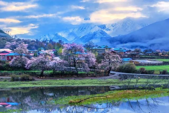 再过一个月，国内这处桃花盛景就要藏不住啦！囊括高原最美雪山！