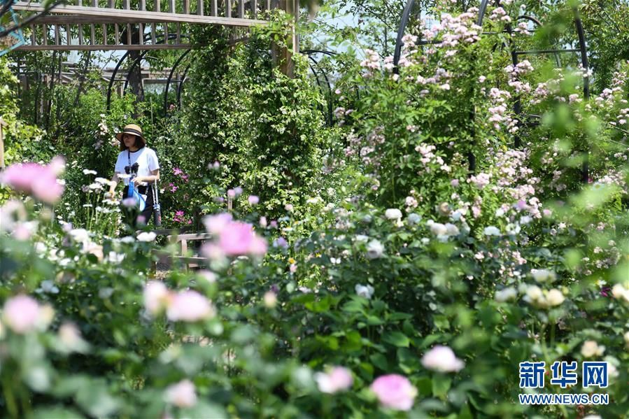  「假期」“五一”假期国内旅游收入达475.6亿元