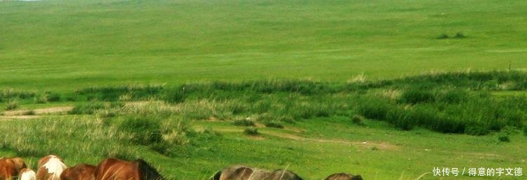 中国又一超级工程，将黄河水引入沙漠中，造就遍地牛羊！