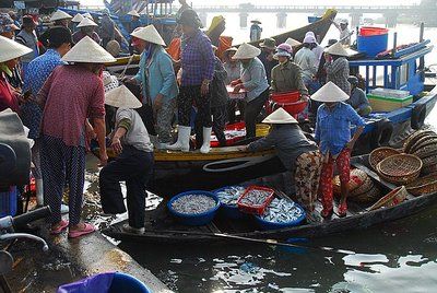 美国限令之后，越南水产品“泛滥成灾”，或转向中国出口?