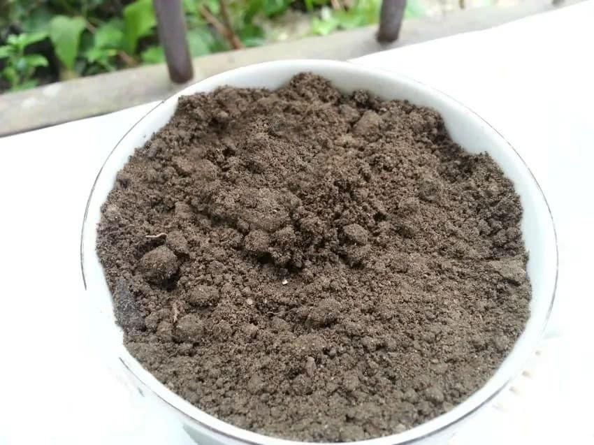  「花园」在茶杯里建花园，美到惊艳！31万网友疯狂点赞：这是我不曾见过的童话世界！