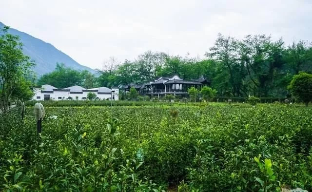 中国原生态最美山乡