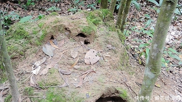 世界上最奇特隧道：处处陷阱，上千人在地下10米处一待就是数年