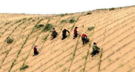 一整片千年沙漠被中国“干掉”了？联合国为此给出极高评价！