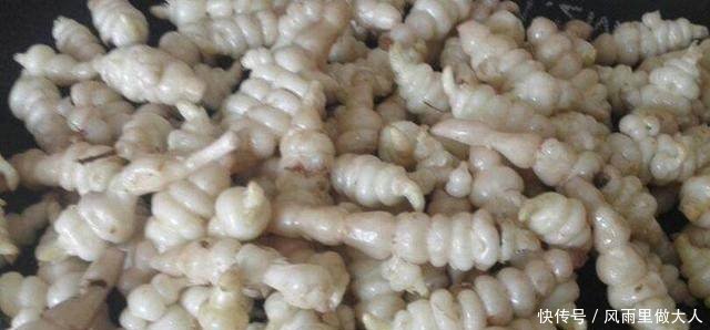 农民种植长在旱地里的藕，一亩净收一万元