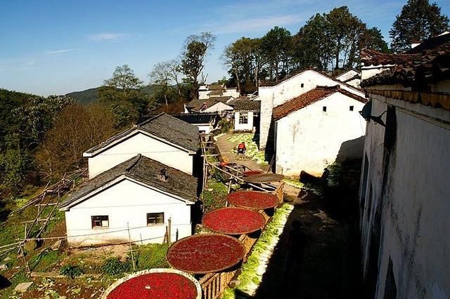 不止九华山，池州还有一处“悬在云中的净土”，是当地最美的村落