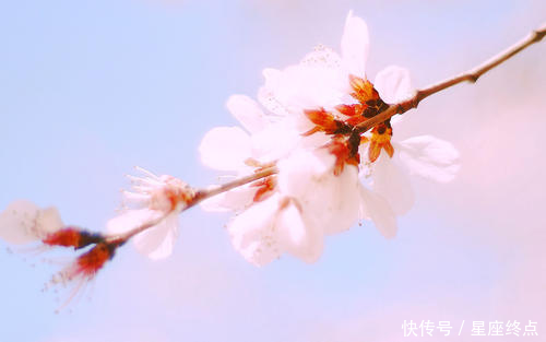  「人在一起」越吵越恩爱，天天吵也分不开，在一起最难分手的四对生肖组合