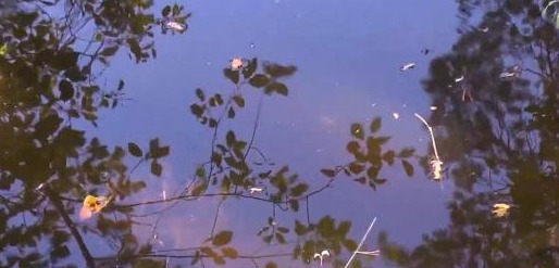 世界最奇葩酒店，没电没WiFi原始生活木屋，游客却住了不想走