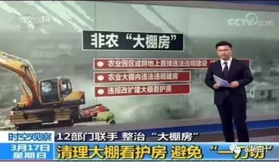 央视质问：我让你查大棚，谁让你一刀切了？