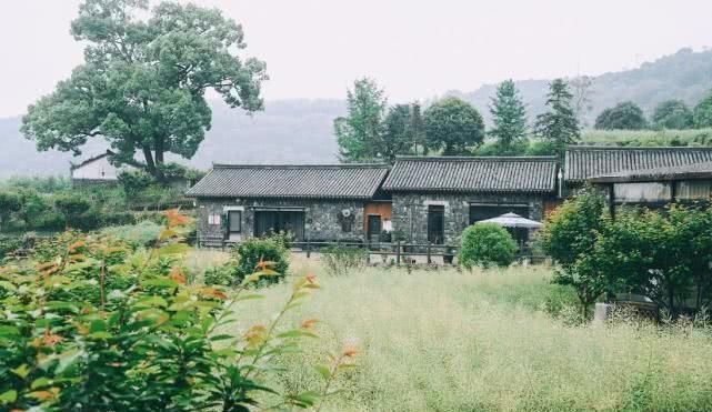  【gdp】山东这座黑马城市，它将碾压青岛，它是你的家乡吗