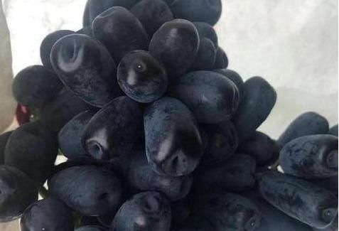  花钱买■有条件的可以自己在家种一棵这样的果树，就不用再花钱买着吃了