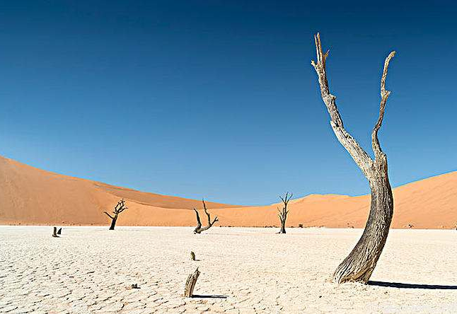 世界上最干燥的沙漠旁边就是大西洋,但全年降水却不到25毫米!