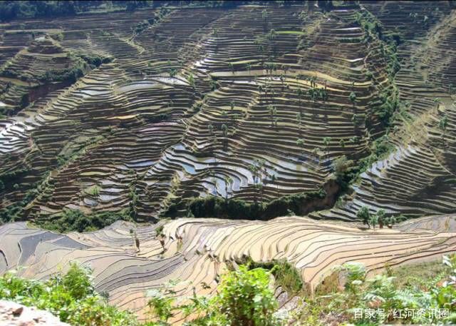 云南红河县位置