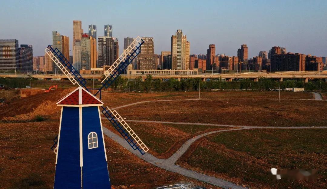  「公园」好消息！南昌新添一处湿地“花海”景观公园