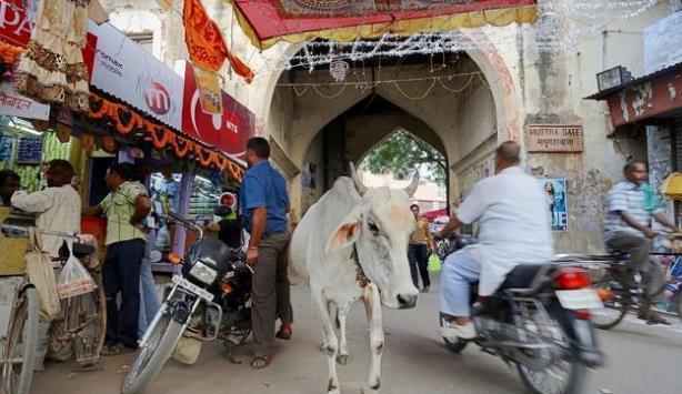  [人民币可以]印度的物价到底有多低, 100元人民币带你走进真实的印度生活