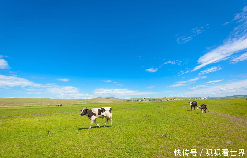 中国最特殊一个民族，不像中国人却是中国人，叫老外会翻脸