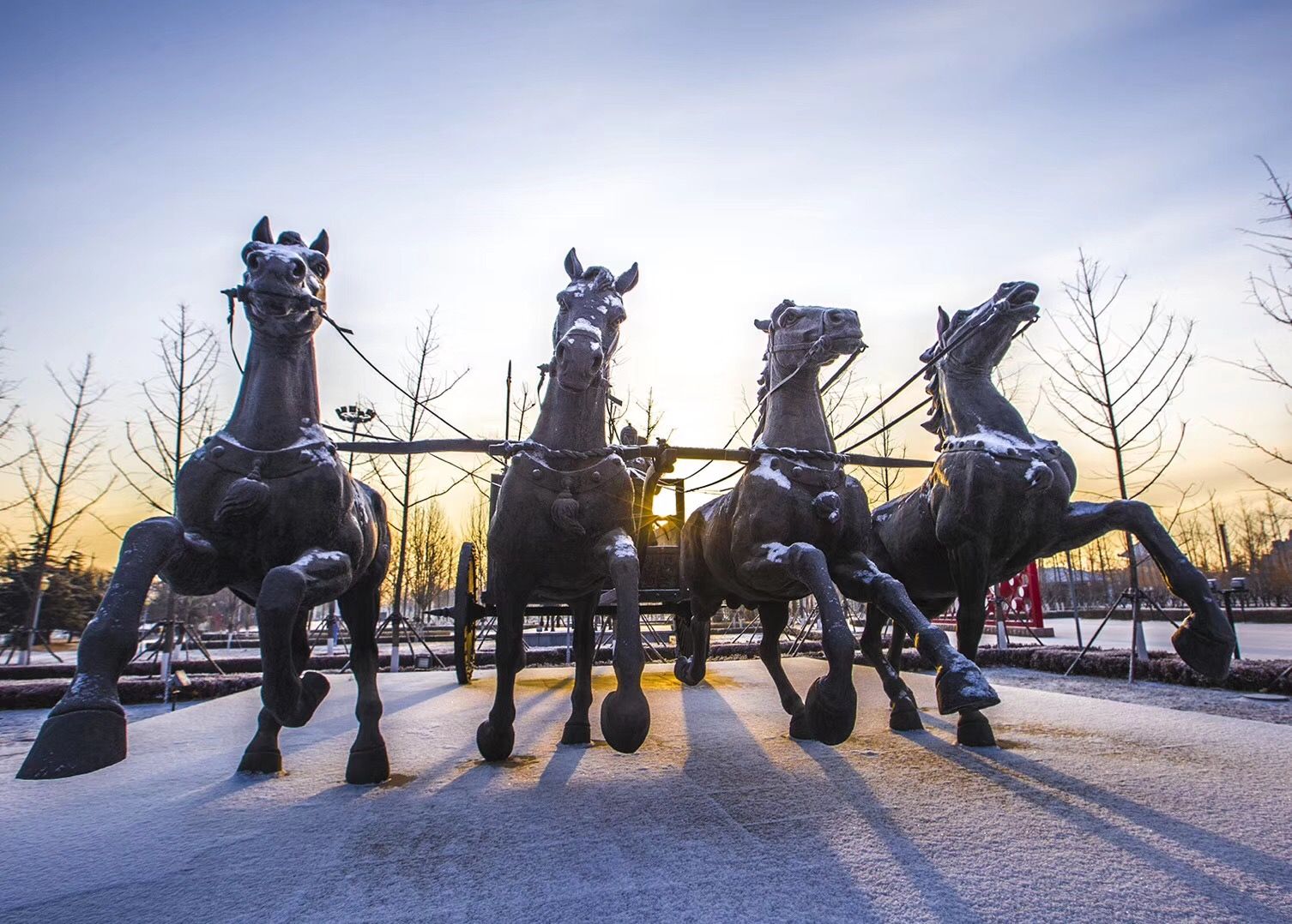 东营丨走过沧海桑田，终是在芦花飞雪的秋日遇见你