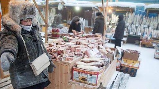 全球人类居住最冷地区，最低零下71.2度，看看这里的人怎么过