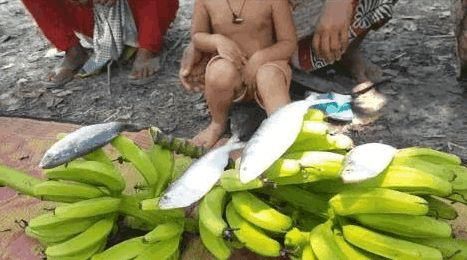 中国人拿它当垃圾扔掉，印度人却当美食！网友：中国人真不懂吃