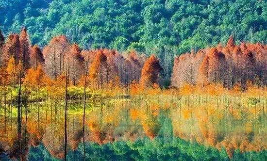 浙江不只有江南烟雨，这10个地方藏着浙江的绝美秋景